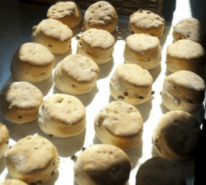 Devon scone recipe