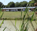 Weir restaurant bude